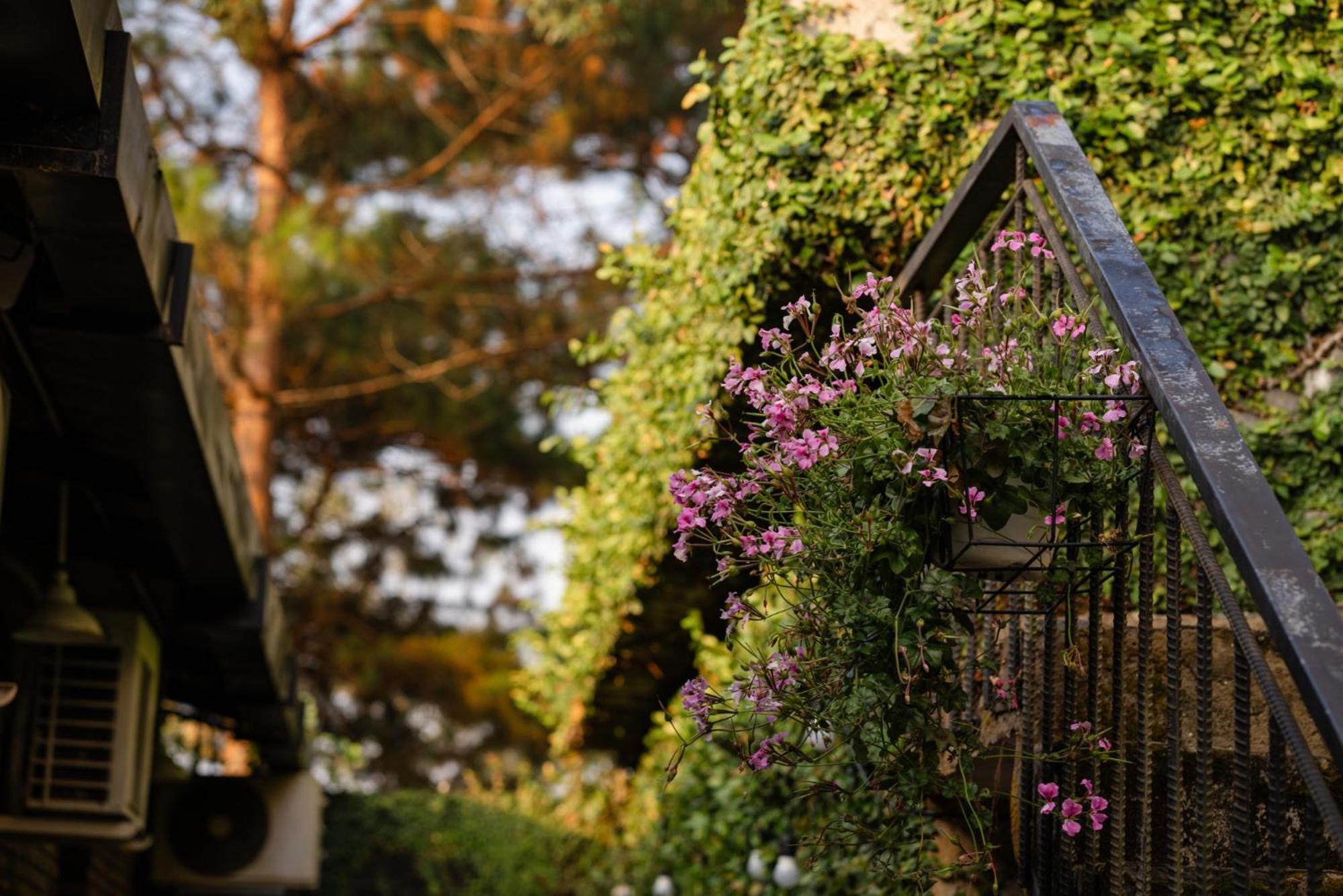 Maysa Villa バオロク エクステリア 写真